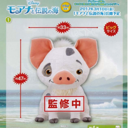 Peluche - Pua - Moana