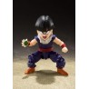 S.H.Figuarts - Son Gohan - Dragon Ball Z