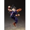 S.H.Figuarts - Son Gohan - Dragon Ball Z