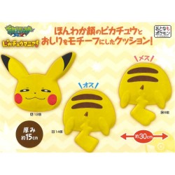 Peluche - Dos Pikachu mâle...