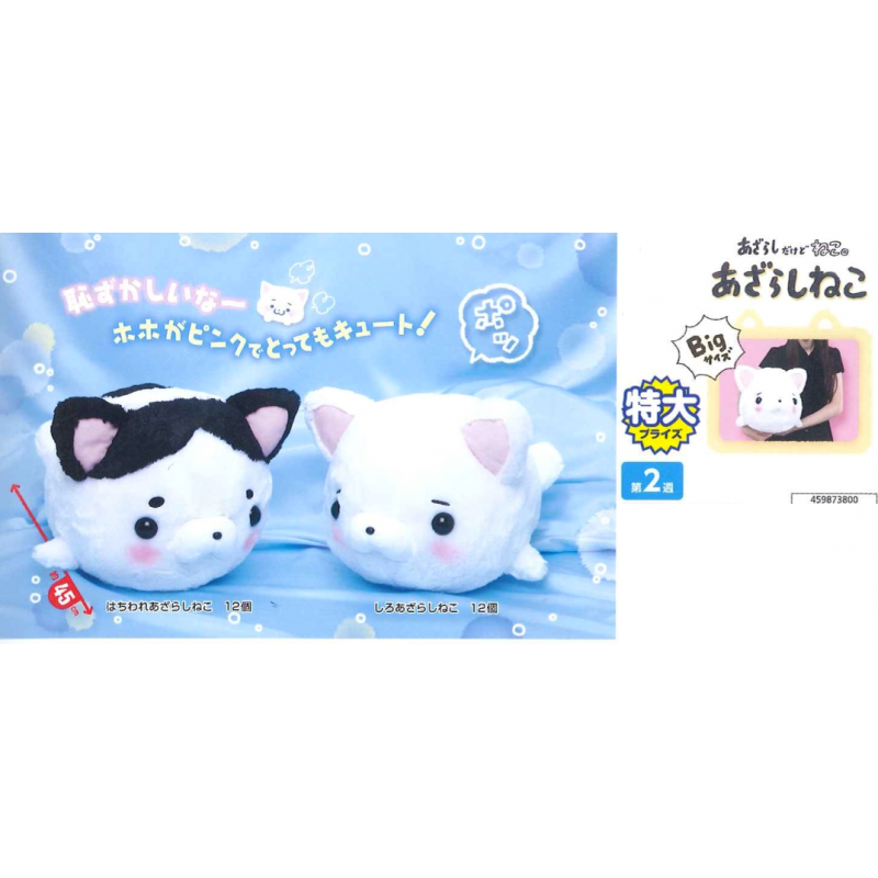 Poisson chat - Blanc et Noir