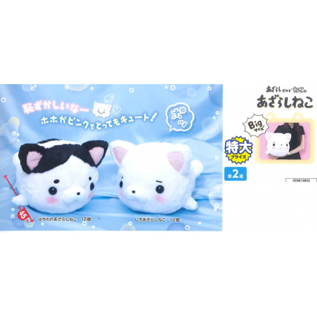 Poisson chat - Blanc et Noir