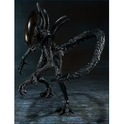 Alien VS Predator - Alien...