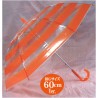 Parapluie - A.T. Field - Evangelion