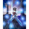 Pégase - Tenma V1 - Lost Canvas - Myth Cloth