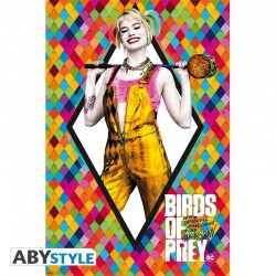 Poster - DC Comics - "Birds...