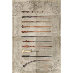 Maxi Poster - The Wand...