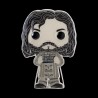 Sirius Black - Harry Potter (15) - POP pin's