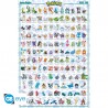 Poster - Hoenn Pokedex FR - Pokemon - Roulé et filmé