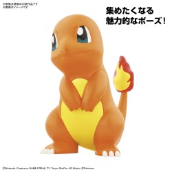 Pokepla Quick - Salamèche (N°11) - Pokemon