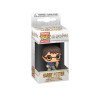 Harry Potter (Holiday) - Harry Potter - Pocket POP Keychain
