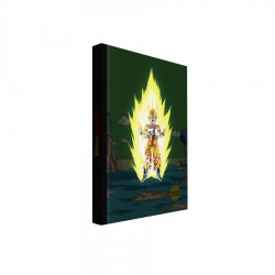 Carnet de notes - Dragon Ball Z - Namek final battle