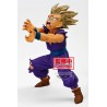 Son Gohan - Blood Of Saiyans - Special XI