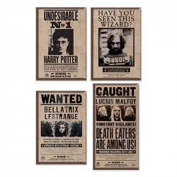 Pack de 4 aimants - Harry...
