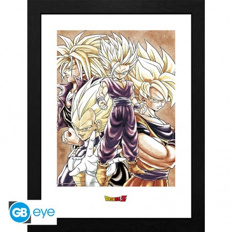 Cadre - Super Saiyan - Dragon Ball Z