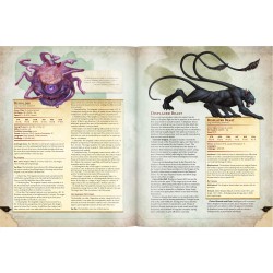 Livre - Dungeons et Dragons - règles de base : Manuel des Monstres - DE