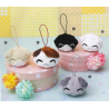 Nemuneko - Blanc - Coll. Scotish