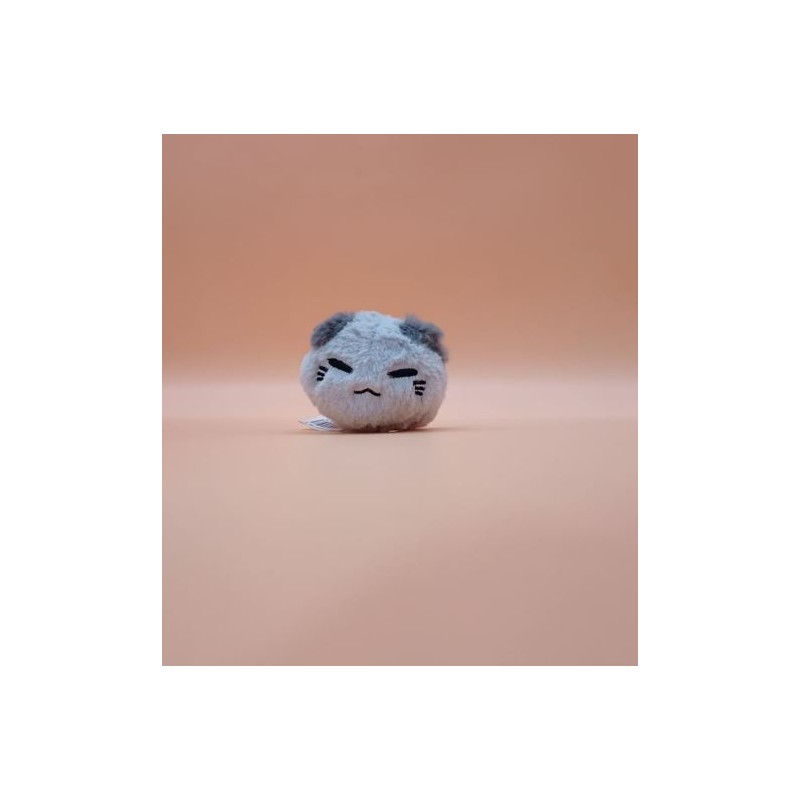 Nemuneko - Gris - Coll. Scotish