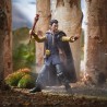 Figurine - Dungeons et Dragon - Simon