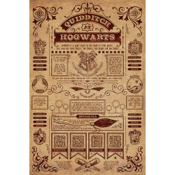 Poster - Harry Potter - Quidditch At Hogwarts - 61x91.5cm