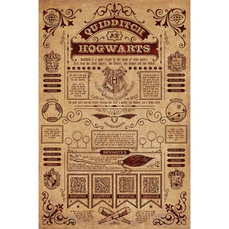Poster - Harry Potter - Quidditch At Hogwarts - 61x91.5cm