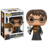 Harry avec Hedwige - Harry Potter (31) - POP Movie