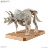 Plannosaurus - Triceratops - Préhistorique