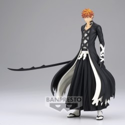 Kurosaki Ichigo - Bleach - Solid and Souls