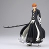 Kurosaki Ichigo - Bleach - Solid and Souls
