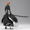 Kurosaki Ichigo - Bleach - Solid and Souls