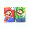 Set 2 Cahiers d'exercice - Mario et Luigi - Super Mario