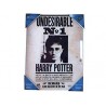 Cadre en Verre - Avis de recherche - Harry Potter