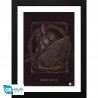 Cadre - Porteur de la Marque Sombre - Dark Souls