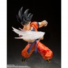 S.H.Figuarts - Effect Parts - Dragon Ball Z