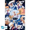 Poster - Gear 5th Dingo - One Piece - Roulé et filmé