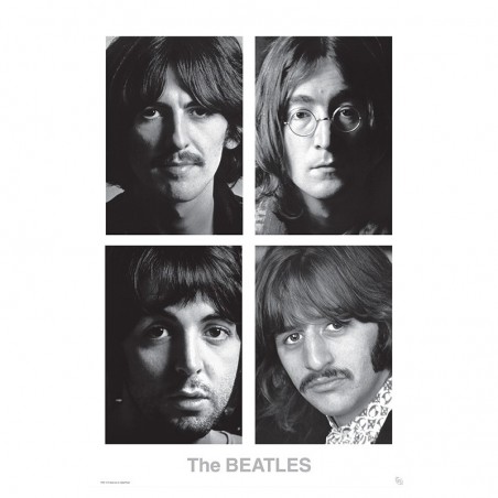 Poster - Album Blanc - The Beatles - Roulé et filmé