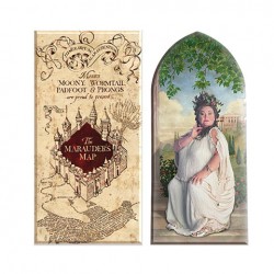 Pack de 2 aimants - Carte...