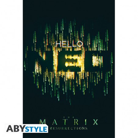 Poster - Matrix - Hello Néo - poster roulé filmé (91.5x61)
