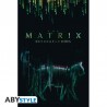 Poster - Matrix - Chat - poster roulé filmé (91.5x61)
