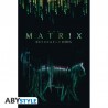 Poster - Chat - Matrix - Roulé et filmé