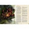 Livre - Dungeons et Dragons - règles de base : Manuel des Joueurs - FR