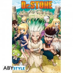 Poster - Groupe - Dr Stone...