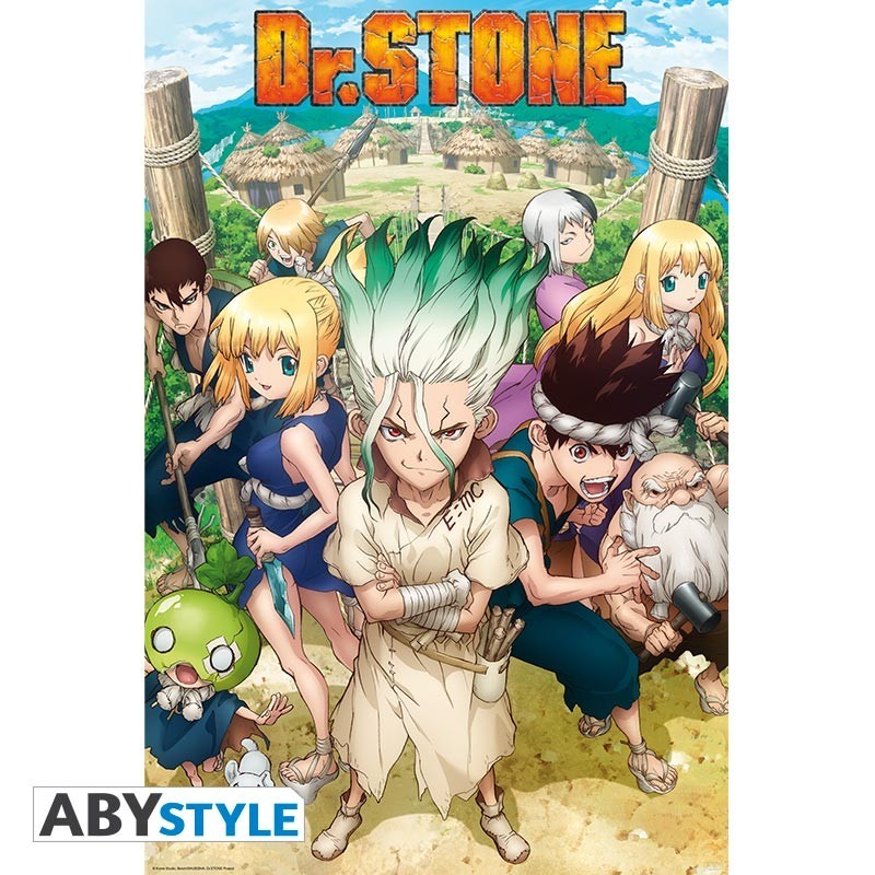 Poster - Groupe - Dr Stone - Roulé et filmé