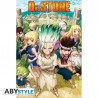 Poster - Groupe - Dr Stone - Roulé et filmé