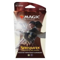 MTG - Theme Booster -...