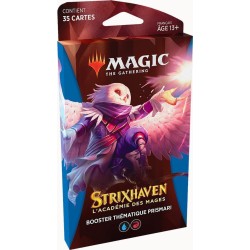 MTG - Theme Booster -...