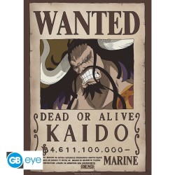 Poster - Kaido Wanted - One...