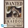 Poster - Kaido Wanted - One Piece