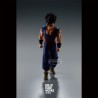 Son Gohan - Dragon Ball Super : Super Hero - Solid Edge Works