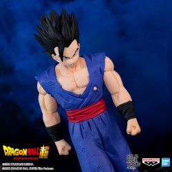 Son Gohan - Dragon Ball Super : Super Hero - Solid Edge Works